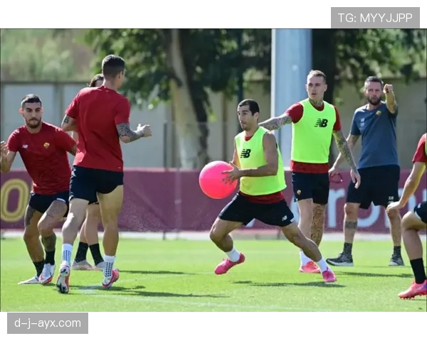 乌迪内斯新赛季阵容深度解析：青春风暴与老将经验共筑竞争力