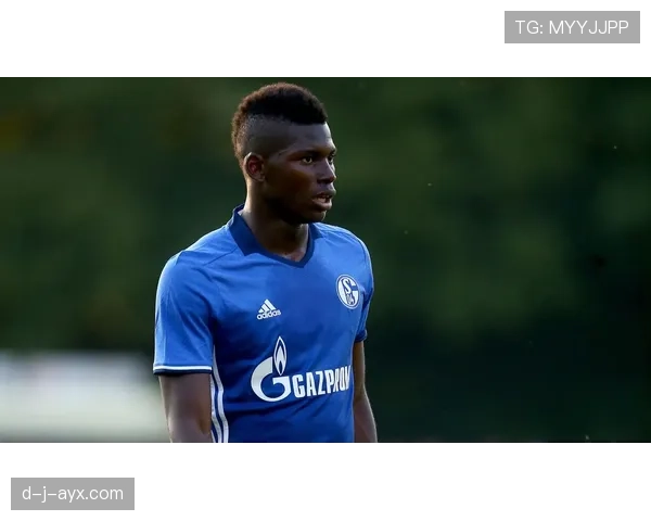 门兴格拉德巴赫调整转会策略，聚焦年轻才俊与战术体系深度融合