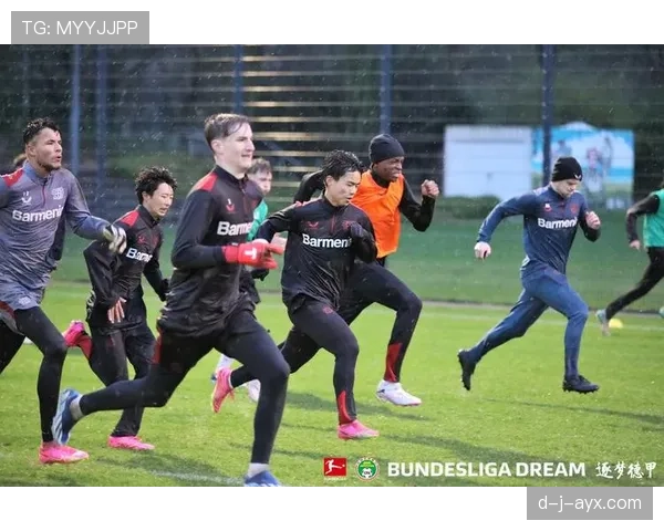 南美足球联盟推进球队结构升级，强化联赛竞争力与青训体系建设